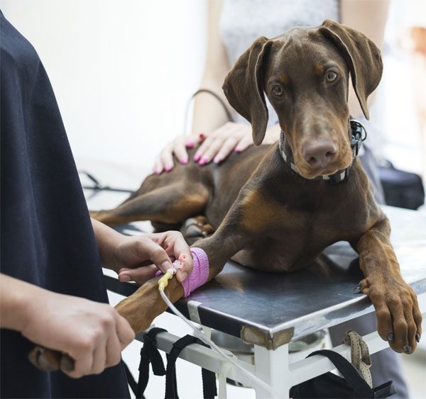 8e0c41bc1a06155d60971c142c15c8ce