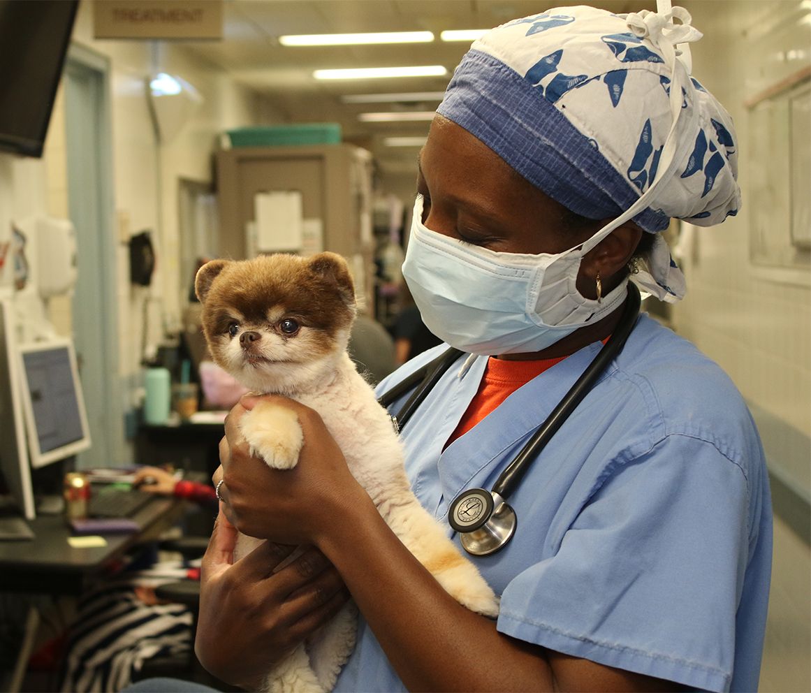 a4583cb3aac242ffdbf9bfef44310b0f