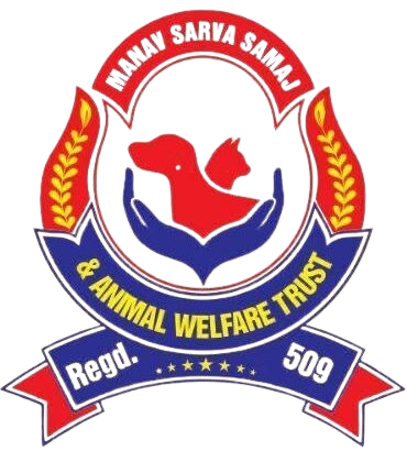 admin ajax removebg preview